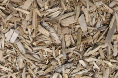 biomass boilers Clayhidon